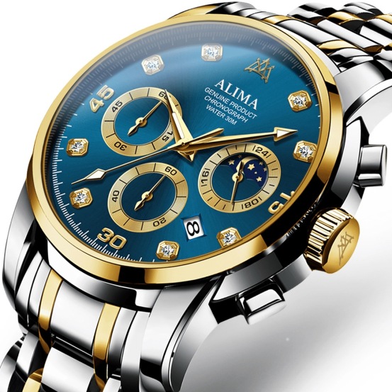 ALIMA WATCH