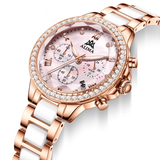 ALIMA WATCH